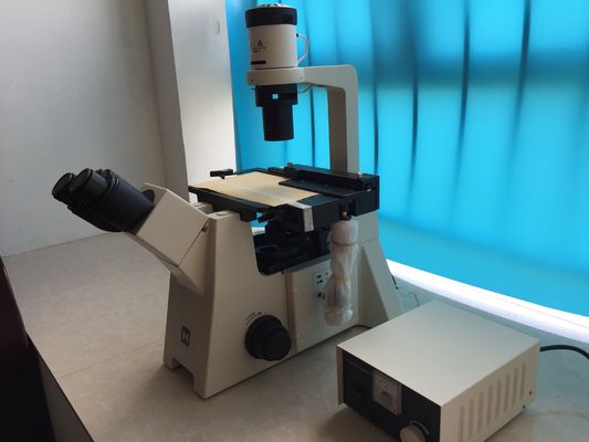 Trinocularは研究の細胞培養のための生物顕微鏡を逆にした